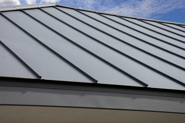 Best Roof Moss and Algae Removal  in Murray, UT